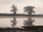 Winter an der Donau (Winzer)