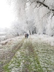 Winter an der Donau (Winzer)