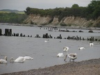 Strand bei Glowe auf Rügen